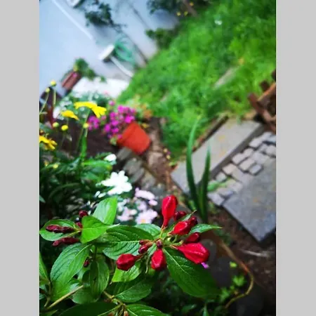 Bosphorus Botanical House, Garden Floor House.. Сasa de vacaciones *
