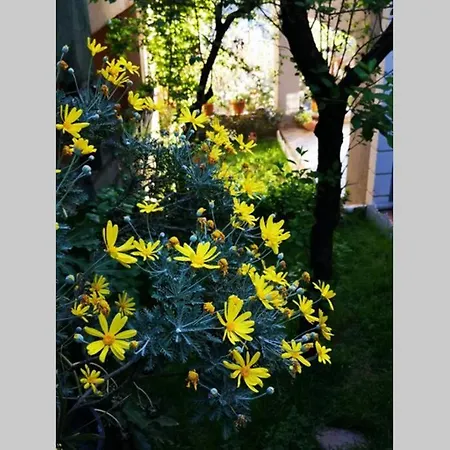 Сasa de vacaciones Bosphorus Botanical House, Garden Floor House.. *