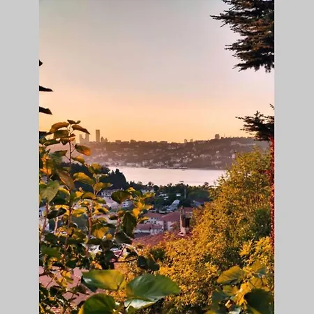 Bosphorus Botanical House, Garden Floor House.. *